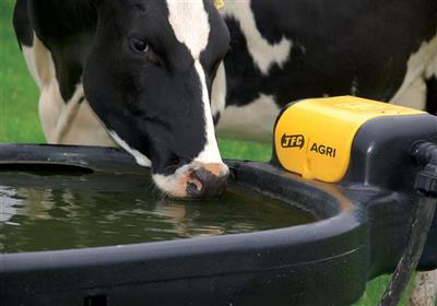 Weidedrinkbak JFC PE ovaal 1000L