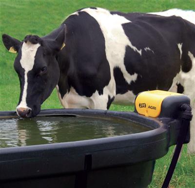 Weidedrinkbak JFC PE ovaal 1000L