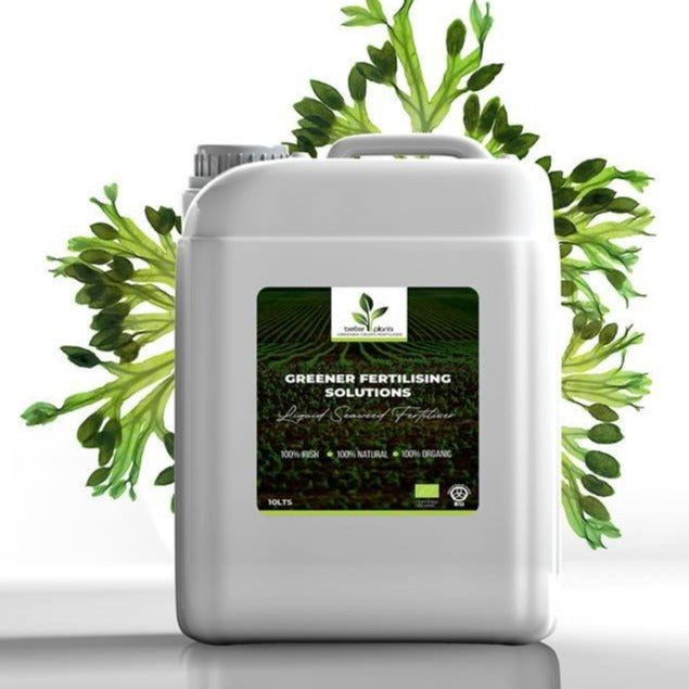 Biostimulant "Phylgreen" 10L